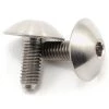 Lunsford Titanium Body Mount Screws (2)